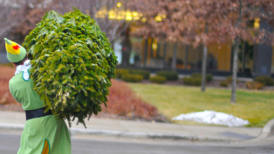 Christmas Tree Delivery & SetUp Rockford Christmas Trees Deliver Christmas Trees
