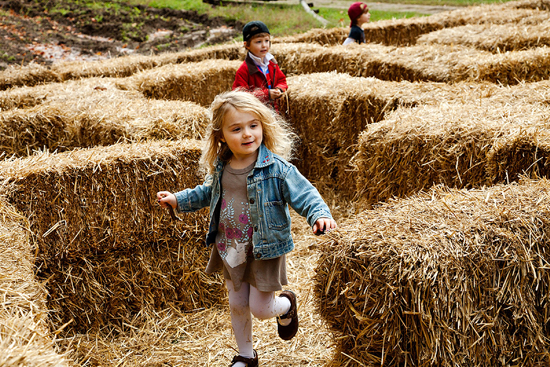 Join us for 2 days of Faith, Family, Food and Fun! Hay Rides, Kid & Family Crafts, Straw Maze Pumpkin Decorating Contest, Scare Crow Races, Live Music and much, much more! Watch for details coming soon!